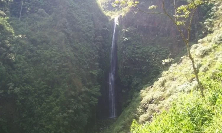 travel blitar surabaya 29