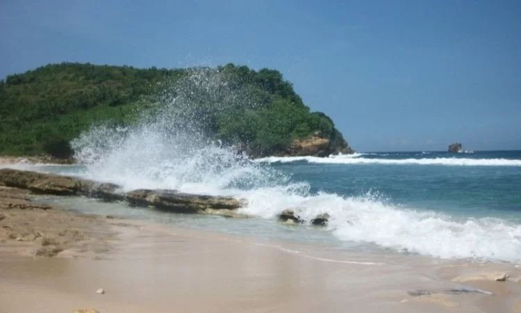 travel blitar surabaya 37